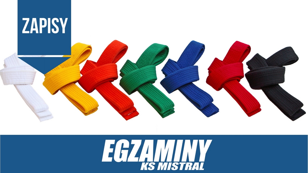 Egzamin taekwondo1(1).jpg