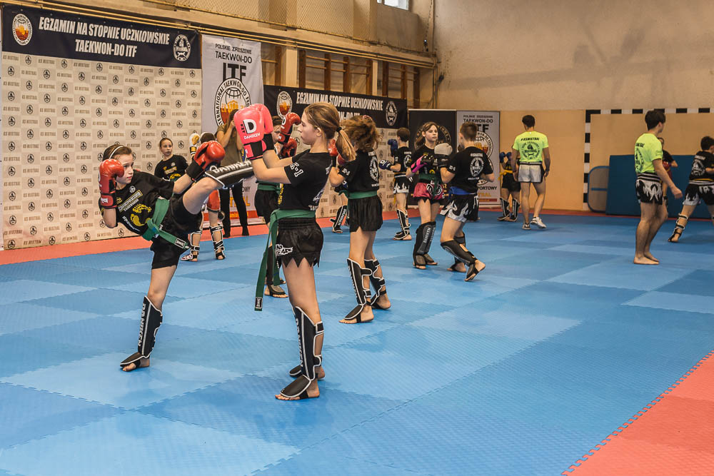 Klub Sportowy Mistral Będzin Dąbrowa Górnicza Jaworzno Wojkowice Czeladź Sosnowiec Boks Kickboxing Taekwondo K1 sztuki walki treningi dla dzieci-216.jpg
