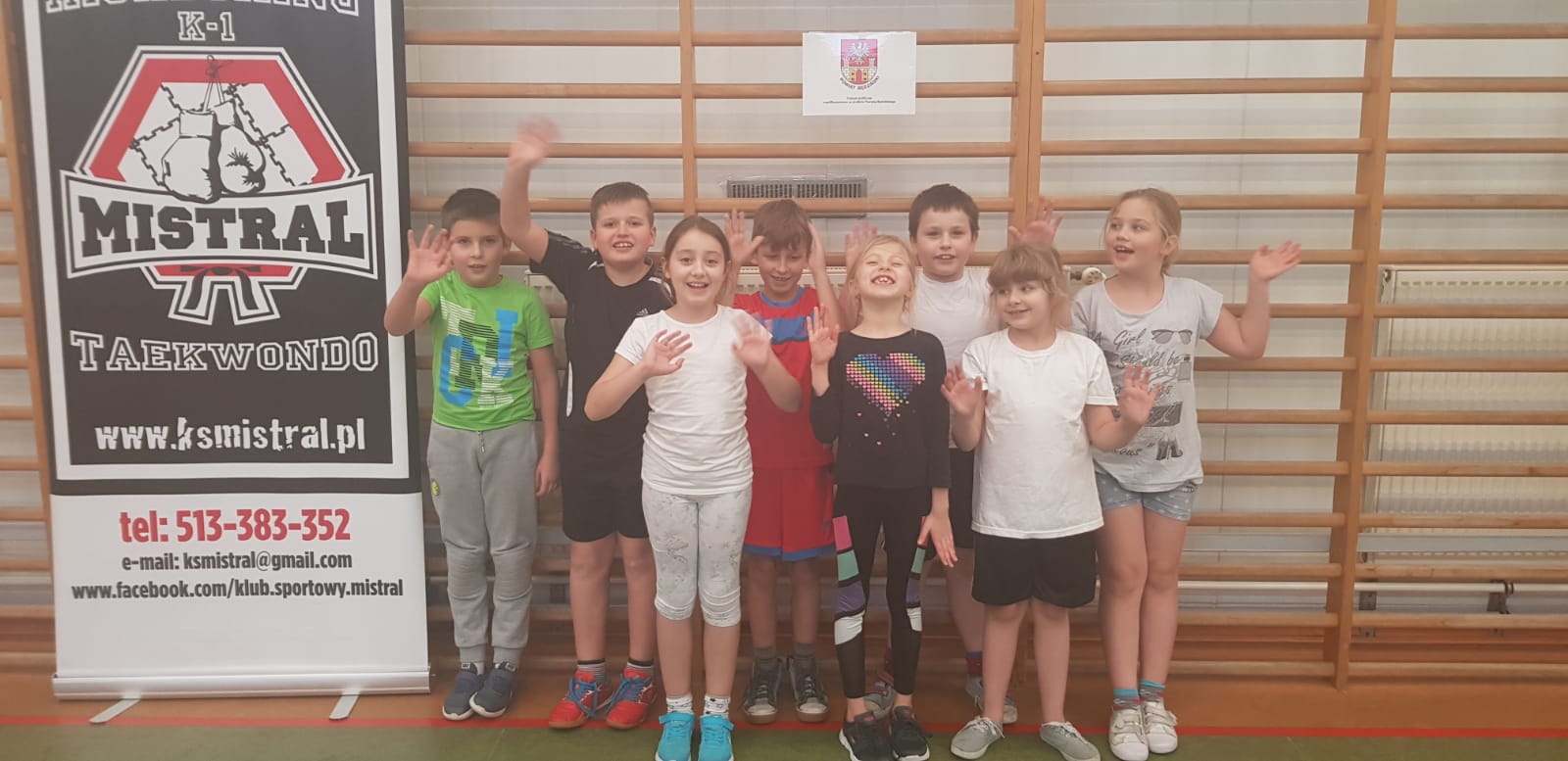 Powiat Będzin taekwondo kickboxing.jpg